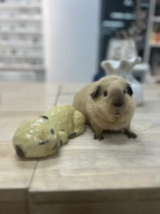 Handmade hamster ceramic